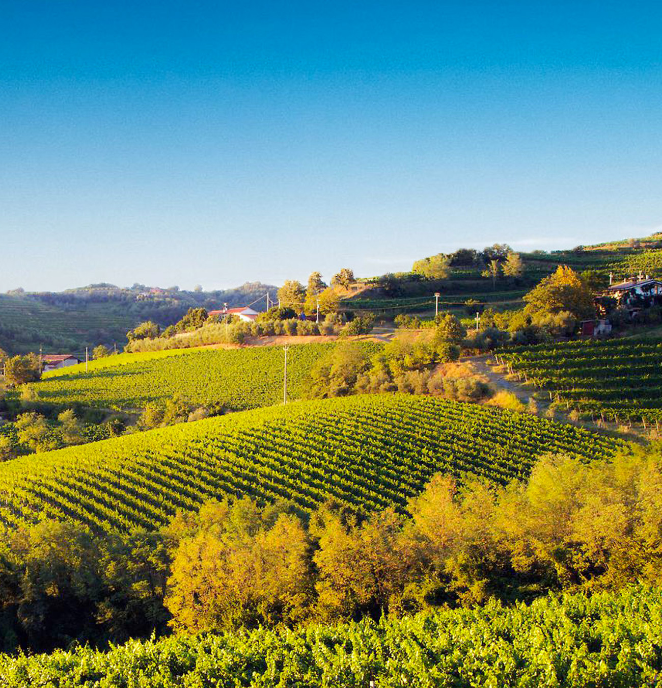 prova-colli-slider